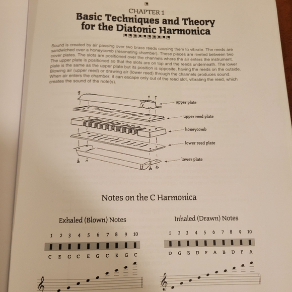 New Hohner Harmonica And Music Book - Picture 8 of 12